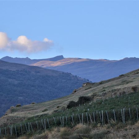 Hotel Rural Alfajia De Antonio กาปีเลย์รา ภายนอก รูปภาพ